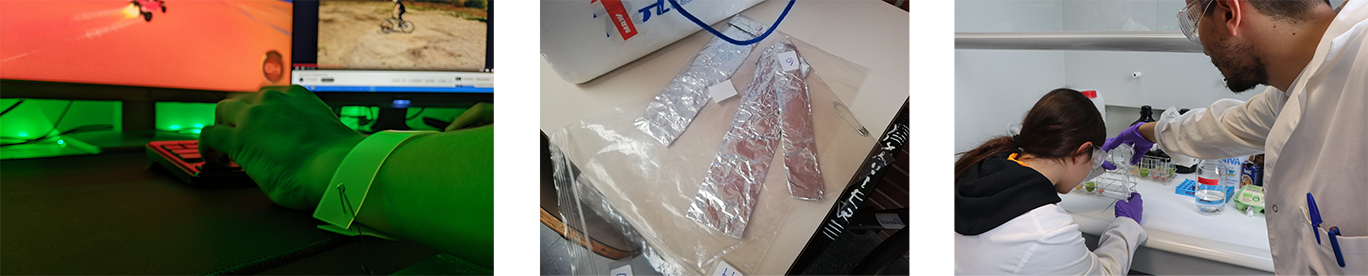 Foto_analisi_plastificants